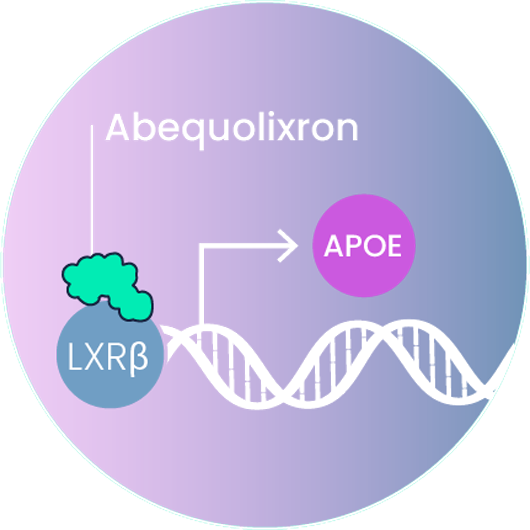 Abequolixron (RGX–104)
