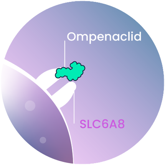 Ompenaclid (RGX-202)